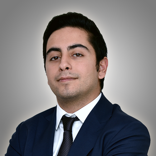 Boran_Beysulen